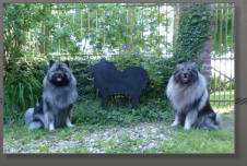 Leena, Mennekees und Lobo