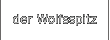 der Wolfsspitz